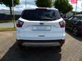 Ford Kuga 2.0 TDCi 4x4 Aut. Titanium AHK,Tempomat Blanc - thumbnail 11