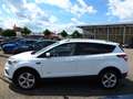 Ford Kuga 2.0 TDCi 4x4 Aut. Titanium AHK,Tempomat Blanc - thumbnail 12