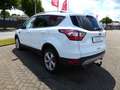 Ford Kuga 2.0 TDCi 4x4 Aut. Titanium AHK,Tempomat Blanc - thumbnail 4