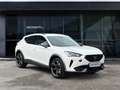 CUPRA Formentor VZ 1.4 e-Hybrid Led Navi Full Link Rückfahrkamera Weiß - thumbnail 8