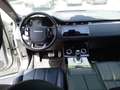 Land Rover Range Rover Evoque Range Rover Evoque II 2019 Ben Range Rover Evoque Zilver - thumbnail 17