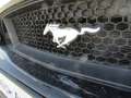 Ford Mustang GT - 1. Hand/Key Free/Kamera/Xenon Schwarz - thumbnail 15