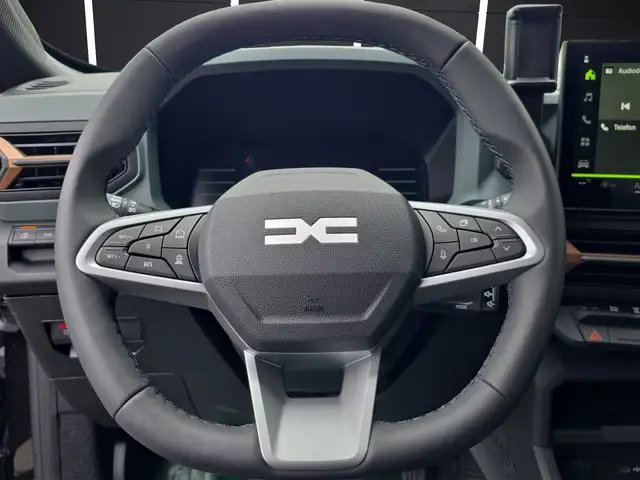 Dacia Duster view 14