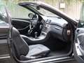 Mercedes-Benz CLK 350 Cabrio Avantgarde Mega Ausstattung Schwarz - thumbnail 13
