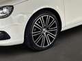 Volkswagen Eos 2.0 TSI Exclusive *PDC*SITZH*NAVI* Bianco - thumbnail 9