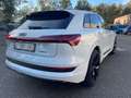 Audi e-tron 95kWh 55 Quattro Advanced Blanc - thumbnail 6