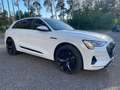 Audi e-tron 95kWh 55 Quattro Advanced Blanc - thumbnail 8