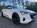 Audi e-tron 95kWh 55 Quattro Advanced Blanc - thumbnail 9