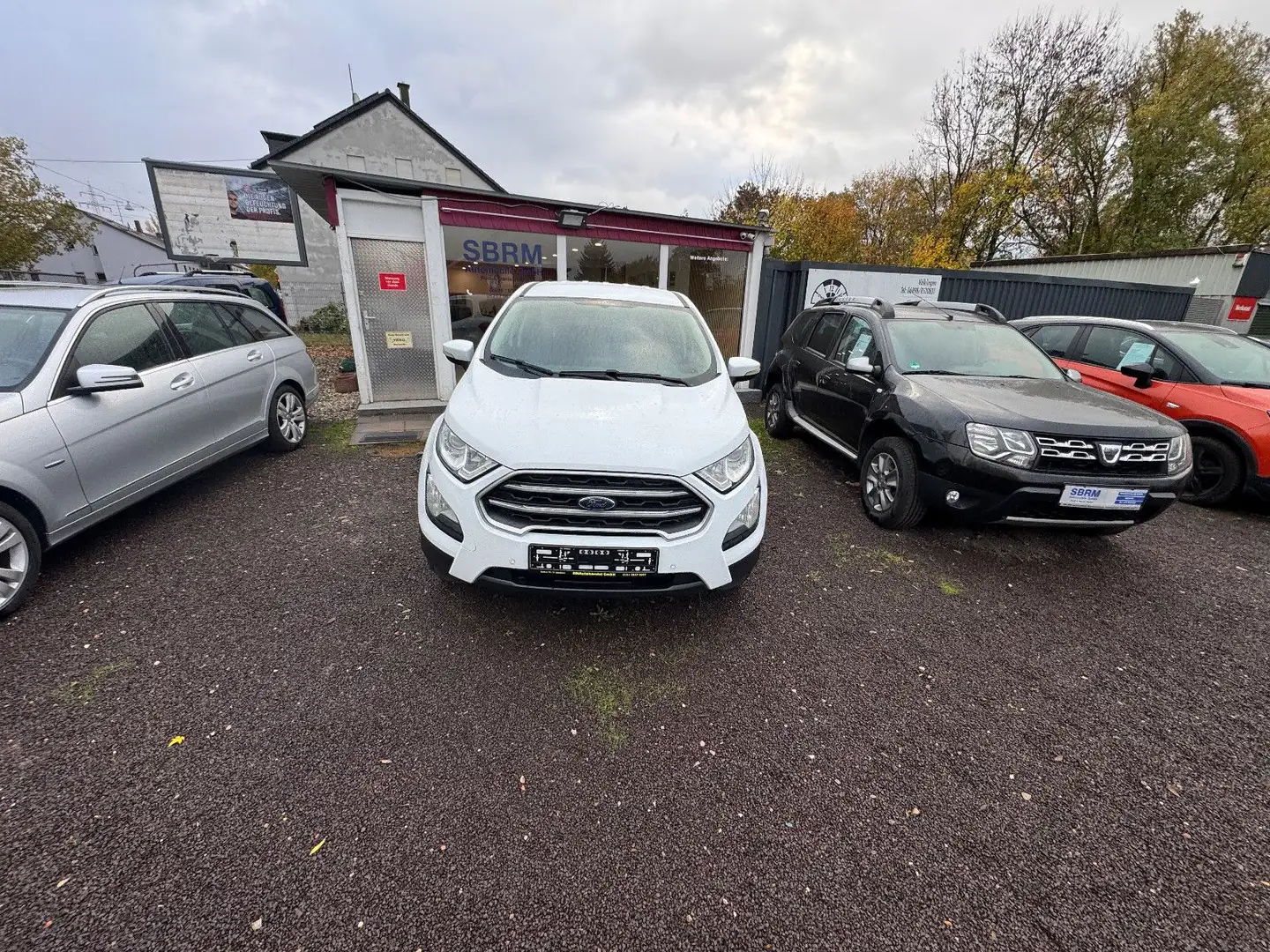 Ford EcoSport 1,0 SHZ PDC CarPlay Zahnriemen Neu Weiß - 2