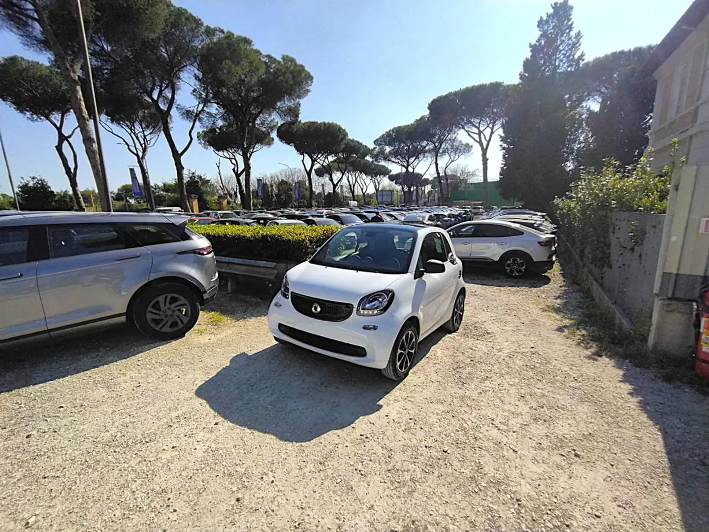 smart forTwo 1.0cc 71cv TETTO PANORAMA CRUISECONTROL Bianco - 1