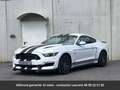 Ford Mustang GT Premium Tout compris hors homologation 4500e Blanc - thumbnail 13