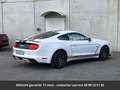 Ford Mustang GT Premium Tout compris hors homologation 4500e Blanc - thumbnail 4