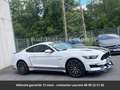 Ford Mustang GT Premium Tout compris hors homologation 4500e Blanc - thumbnail 16