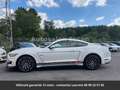 Ford Mustang GT Premium Tout compris hors homologation 4500e Blanc - thumbnail 23