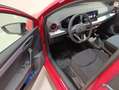 SEAT Ibiza FR Austria 1.0 TSI Rot - thumbnail 11