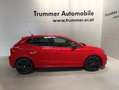 SEAT Ibiza FR Austria 1.0 TSI Rot - thumbnail 3
