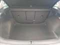 Volkswagen Tiguan 1.4 TSI 150 CV DSG Executive ACT BlueMotion Tech. Grau - thumbnail 15