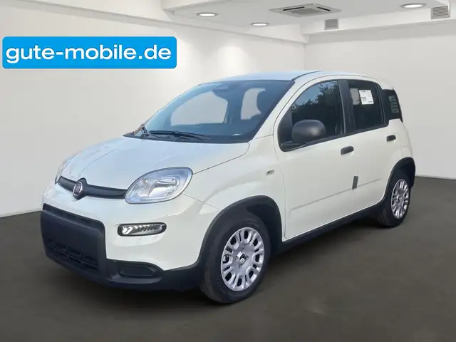 Fiat Panda Pandina Hybrid MY25 70PS