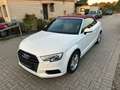 Audi A3 Cabriolet XENON-NAVI-AHK-STAND.HEIZ-CAR PLAY Blanc - thumbnail 3
