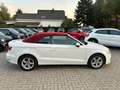 Audi A3 Cabriolet XENON-NAVI-AHK-STAND.HEIZ-CAR PLAY Blanc - thumbnail 7