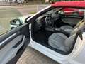 Audi A3 Cabriolet XENON-NAVI-AHK-STAND.HEIZ-CAR PLAY Blanc - thumbnail 8