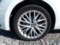 SEAT Leon 1.5 TGI 130 CV DSG ST STYLE FULL LED NAVI Bianco - thumbnail 6
