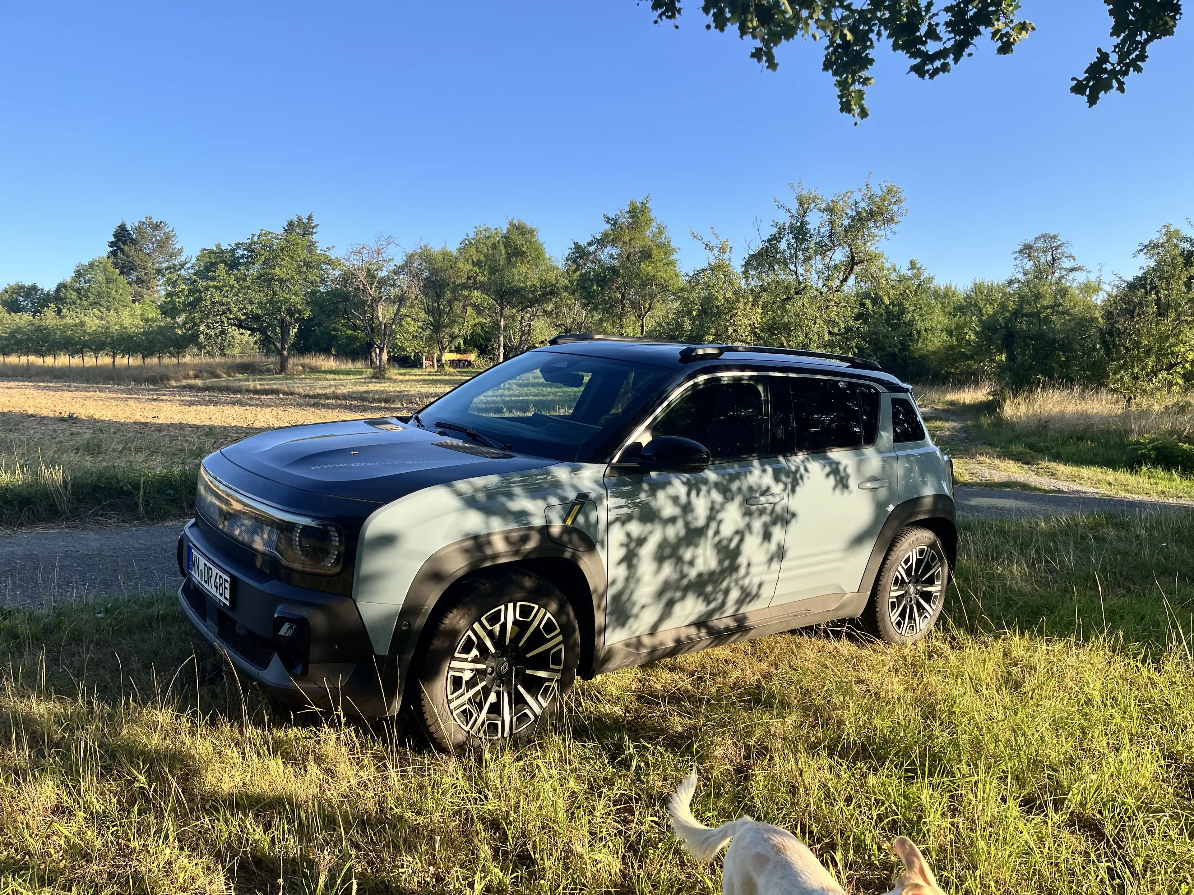 Renault R 4 R 4 E-Tech Iconic 150 Comfort Range