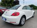 Volkswagen Beetle 1.6 TDI DESIGN 1 PROPR. Blanco - thumbnail 5