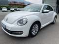 Volkswagen Beetle 1.6 TDI DESIGN 1 PROPR. Blanco - thumbnail 1