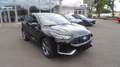 Ford Kuga ST Line X FHEV Winterpaket - FGS 5 Jahre Schwarz - thumbnail 3