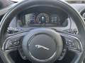 Jaguar XJ 30d R-Sport Aut. Navi+Leder+Led+Pano+Kamera Сірий - thumbnail 14