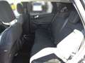 Ford Kuga KUGA Titanium 2,5 Duratec Hybrid Schwarz - thumbnail 9