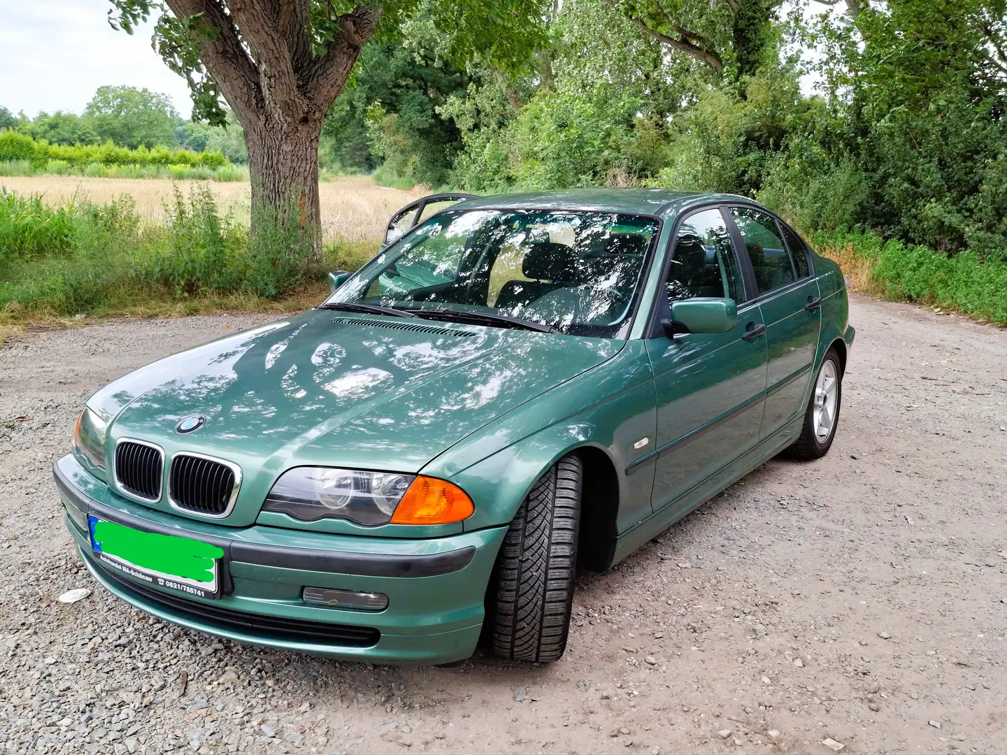 BMW 316 3er 316i Verde - 2