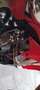 Honda XR 650 Rouge - thumbnail 6