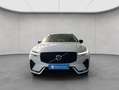 Volvo XC60 XC60 B4 AWD Plus-Dark Aut Leder BLIS PilotAssist Blanc - thumbnail 8