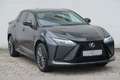 Lexus RZ 300e Executive Line + Panorama Glasdach Grey - thumbnail 7