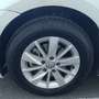 Volkswagen Golf 1.6TDI CR Bluemotion 105 Blanco - thumbnail 25