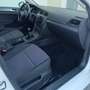 Volkswagen Golf 1.6TDI CR Bluemotion 105 Blanco - thumbnail 11