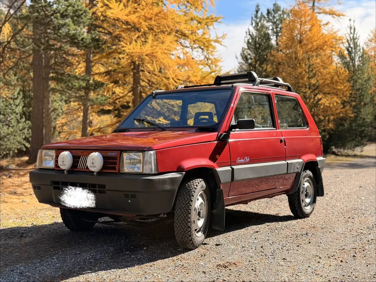 Fiat Panda 1.1 Country Club 4x4, foto 1