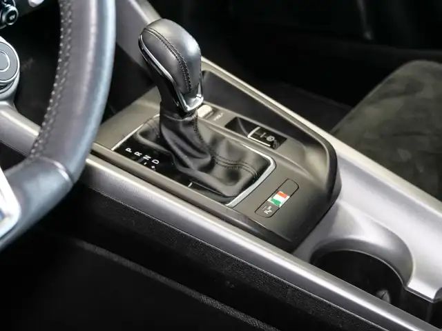 Alfa Romeo Tonale view 15