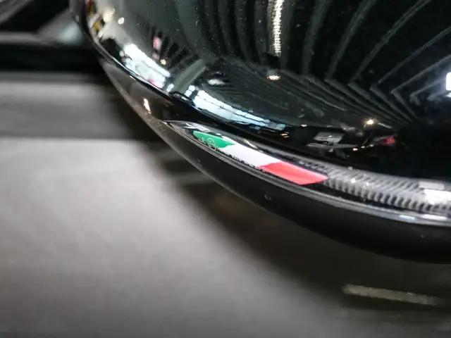 Alfa Romeo Tonale view 14