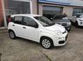 Fiat Panda 1.2 Lounge 69cv Wit - thumbnail 2