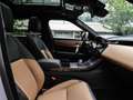 Land Rover Range Rover Velar D300 AWD Autobiography Grau - thumbnail 4