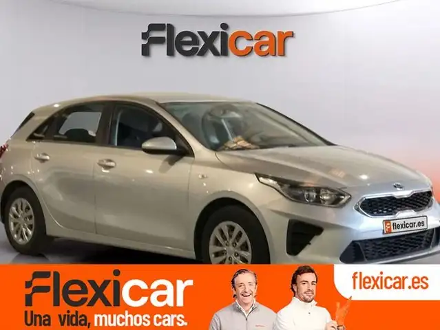 Kia 1.4 CVVT 74kW (100CV)