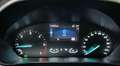 Ford Focus 1.5Ecoblue Trend Edition 120 Blanco - thumbnail 12