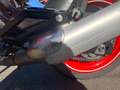 Ducati Monster 695 Rouge - thumbnail 7