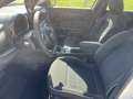 Fiat 600 600  2025 1.2 hybrid  110cv auto Blanc - thumbnail 7