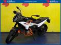 KTM 790 Adventure - thumbnail 2