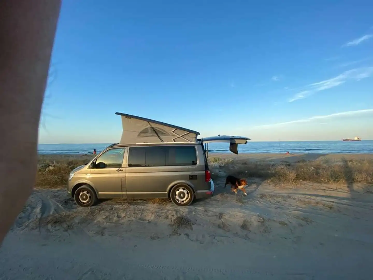 Volkswagen T5 California Coast Grau - 2