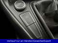 Ford Focus Kombi 1.0 EB AC SHZ Navi PDC AHK Grau - thumbnail 19